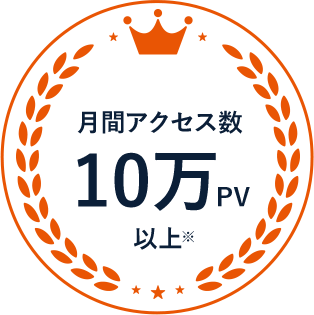 月間アクセス数 10万pv異常※