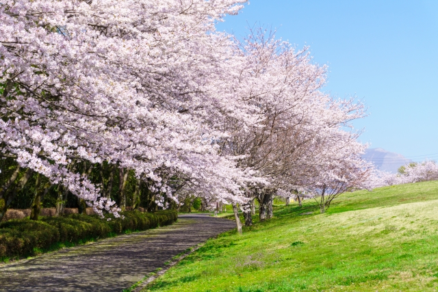 平田公園・大榑川堤(岐阜県海津市)