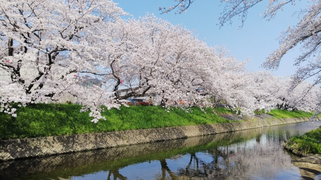 五条川(愛知県岩倉市)