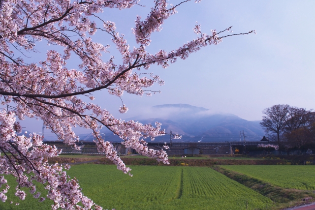 伊吹山ドライブウェイ(岐阜県関ヶ原町)