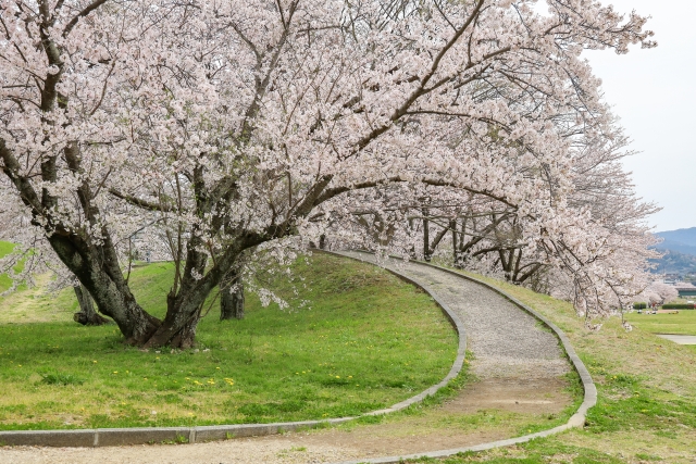 宮川堤(三重県伊勢市)