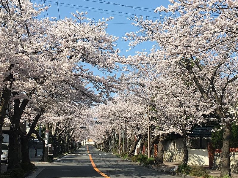 ⑥鎌倉逗子ハイランド