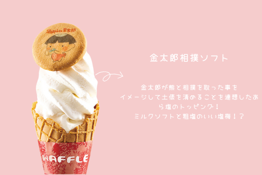 金太郎相撲ソフト 490円